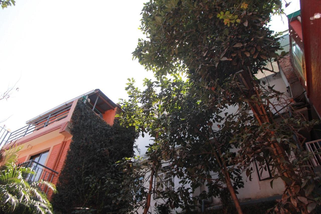 Lalitpur Ojas Wellness B&B المظهر الخارجي الصورة